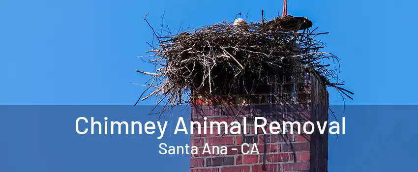 Chimney Animal Removal Santa Ana - CA