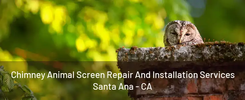 Chimney Animal Screen Repair And Installation Services Santa Ana - CA