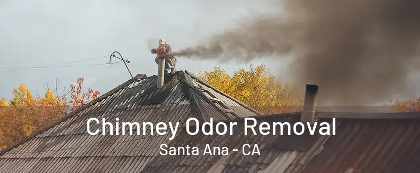 Chimney Odor Removal Santa Ana - CA