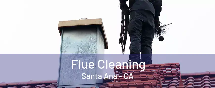 Flue Cleaning Santa Ana - CA