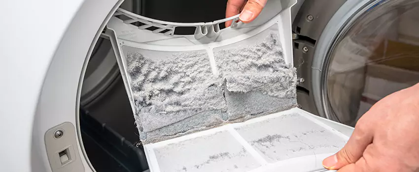 Best Dryer Lint Removal Company in Santa Ana, California