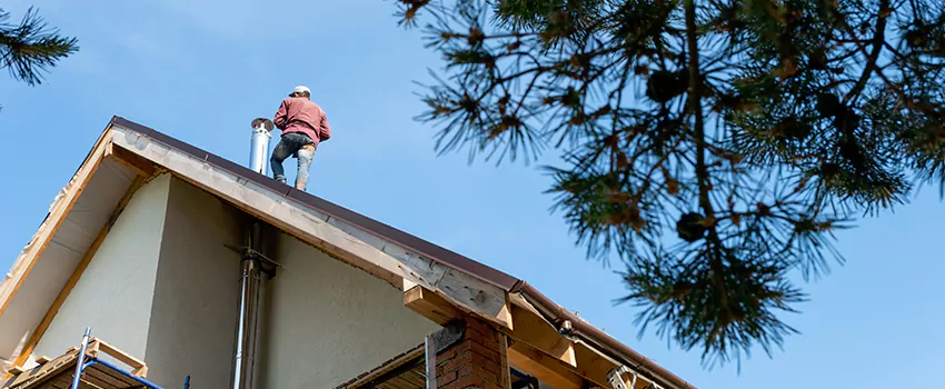 Birds Removal Contractors from Chimney in Santa Ana, CA