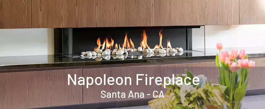 Napoleon Fireplace Santa Ana - CA